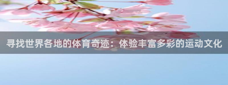 中欧体育下载：寻找世界各地的体育奇迹：体验丰富多彩的运动文化