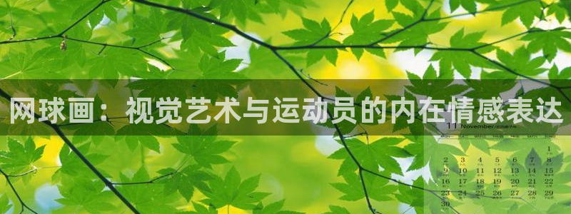 中欧体育kok官网首页：网球画：视觉艺术与运动员的内在情感表达