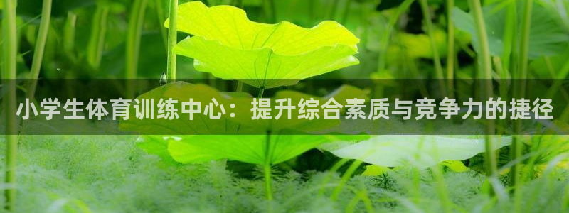 中欧体育平台：小学生体育训练中心：提升综合素质与竞争力的捷径