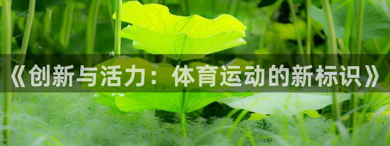 中欧体育ac米兰：《创新与活力：体育运动的新标识》