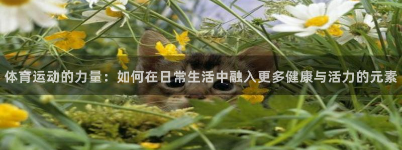 中欧体育下载：体育运动的力量：如何在日常生活中融入更多健康与活力的元素
