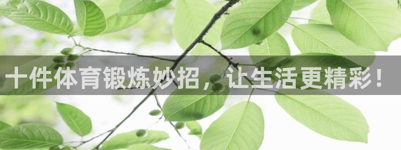 kok中欧体育登录：十件体育锻炼妙招，让生活更精彩！