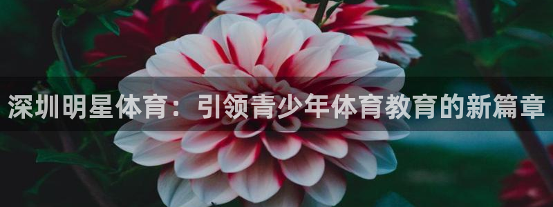 中欧体育全站app：深圳明星体育：引领青少年体育教育的新篇章